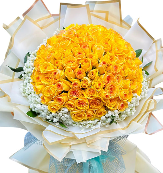 I Only See Yellow Love Flowers Vietnam