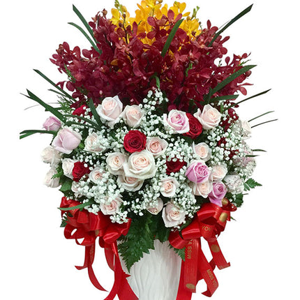 Imperial Flame Flowers Vietnam