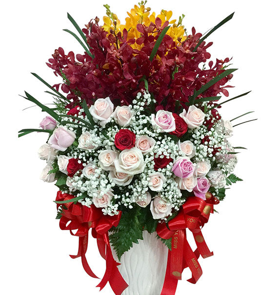 Imperial Flame Flowers Vietnam