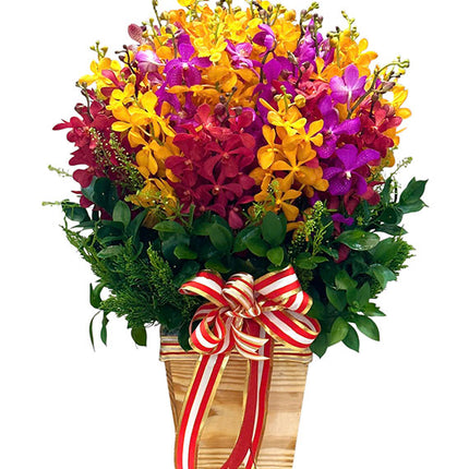 Love Me Tender Valentine's Day Vietnam