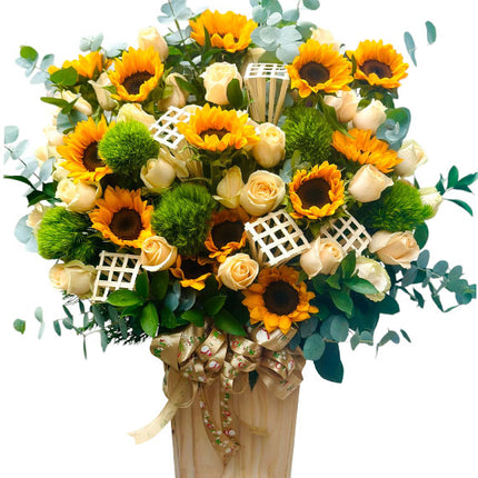 Love Song Sunflowers Vietnam