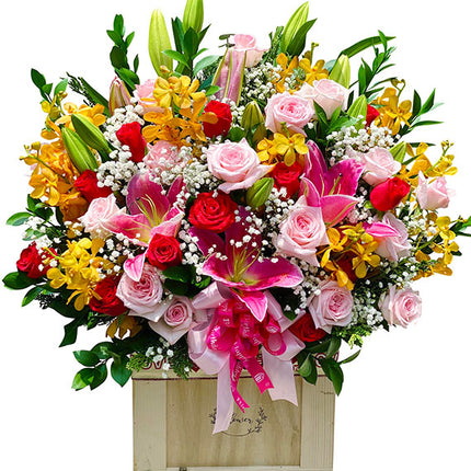 Magic Garden Dreams Flowers Vietnam