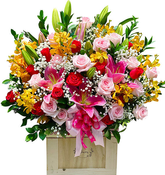 Magic Garden Dreams Flowers Vietnam