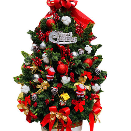 Magical Xmas Tree Vietnam