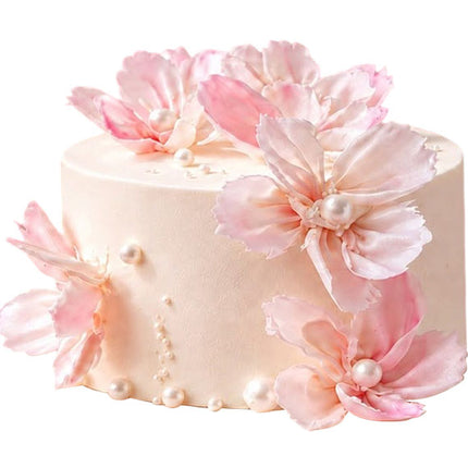 Magnolia Vietnamese Women's Cake