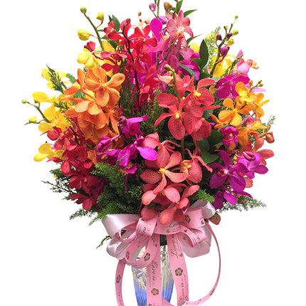 Mixed Orchid In Vase Vietnam