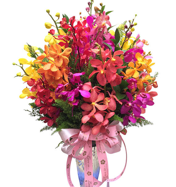 Mixed Orchid In Vase Vietnam