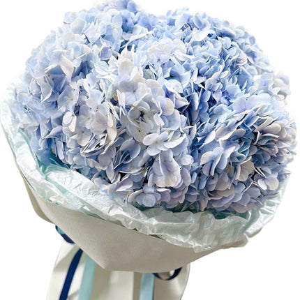 Moonlight Hydrangeas Vietnam