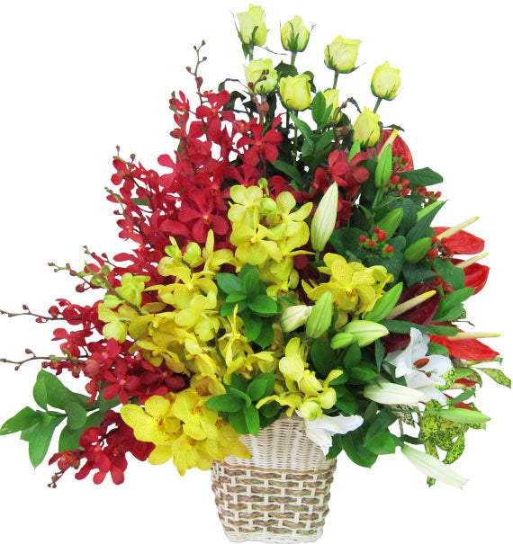 Mother's Day Eternal Love Orchid Basket Vietnam