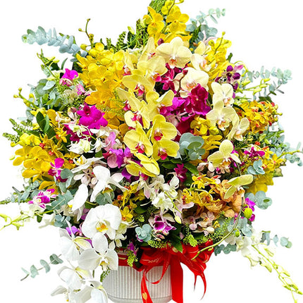 Mother's Day Orchid Love In Vase Vietnam