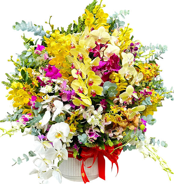 Mother's Day Orchid Love In Vase Vietnam