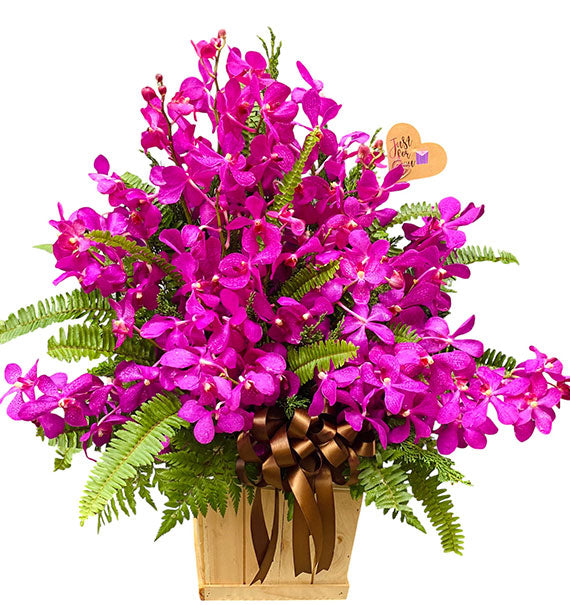 Mother's Day Purple Orchid Basket Vietnam