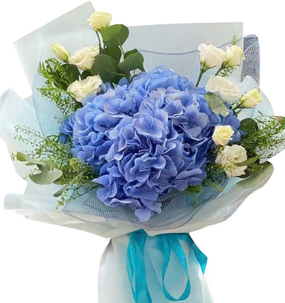 My World Is Blue