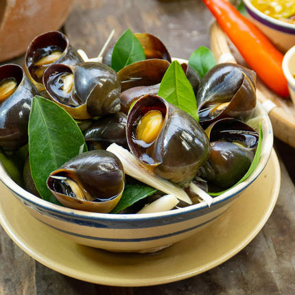Oc Buou Hap Sa Seafood Vietnam