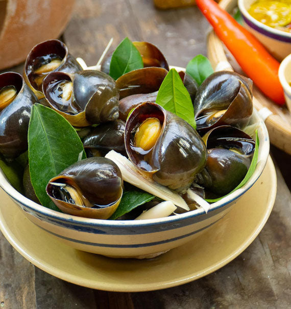 Oc Buou Hap Sa Seafood Vietnam