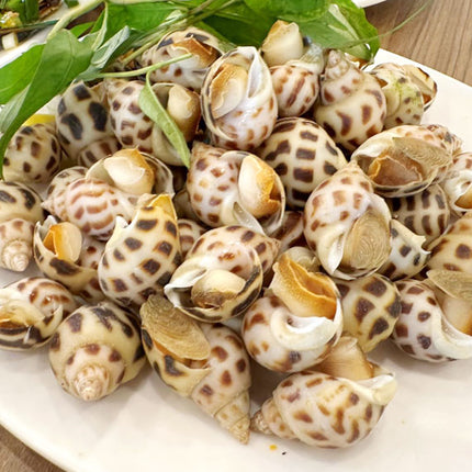 Oc Huong Nuong Seafoof Vietnam