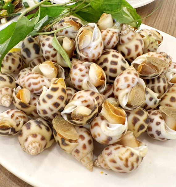 Oc Huong Nuong Seafoof Vietnam