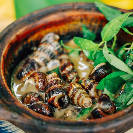 Oc Len Xao Dua Seafood Vietnam