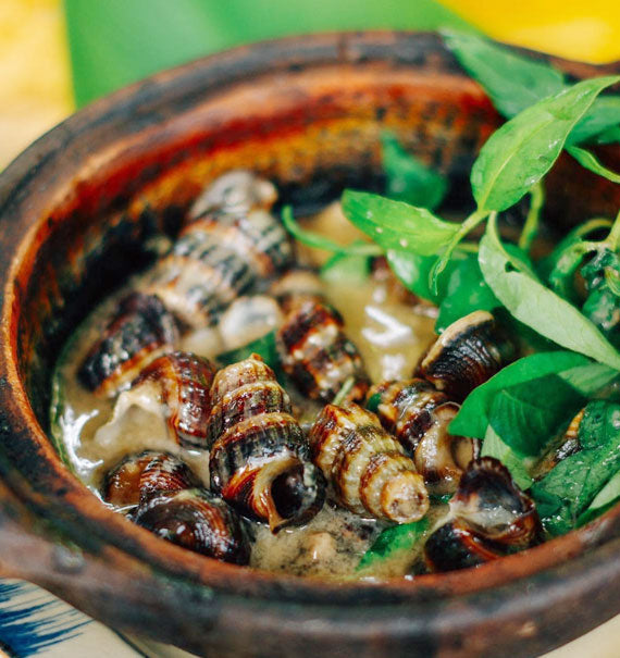 Oc Len Xao Dua Seafood Vietnam
