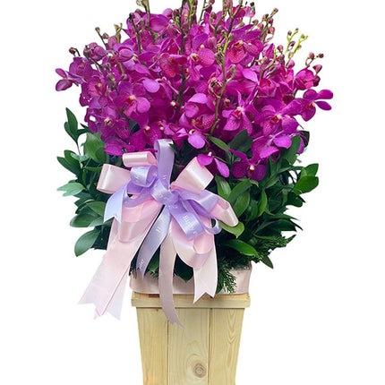 Orchid Basket For Mother's Day Vietnam