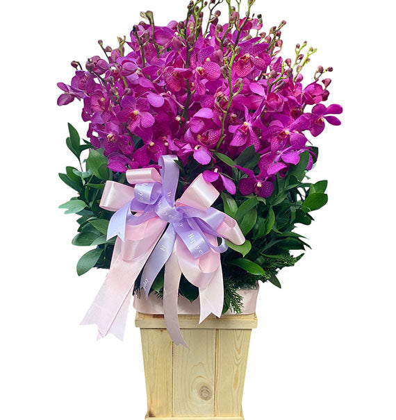 Orchid Basket For Mother's Day Vietnam