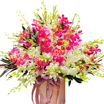 Orchid Gift Basket For Mother's Day Vietnam