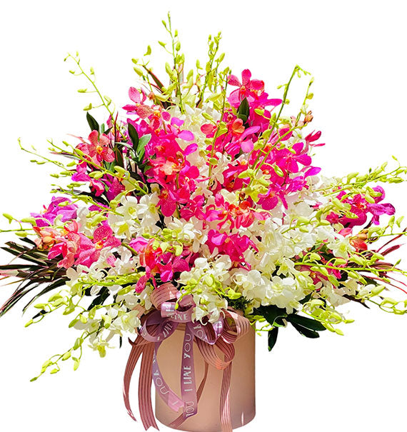 Orchid Gift Basket For Mother's Day Vietnam
