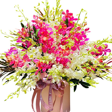 Orchid Radiance Vietnam