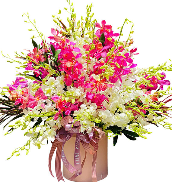 Orchid Radiance Vietnam