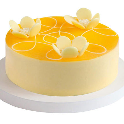 Passion Mousse Cheesecake Savoure Vietnam