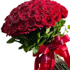 12 stems / Red Explorer