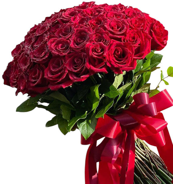 Passion Red Ecuador Roses Vietnam