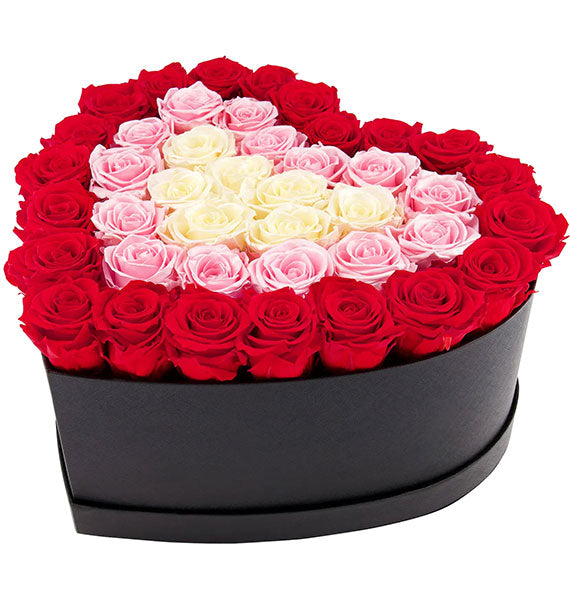 Passion Roses Box Vietnam