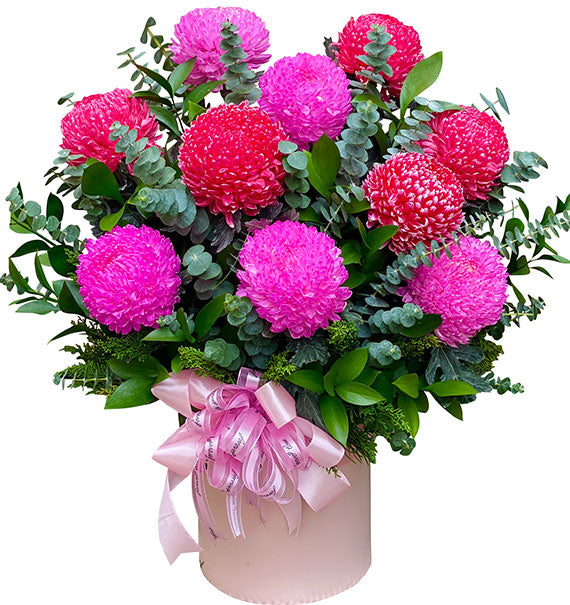 Pink Dream In Valentine's Day Vietnam