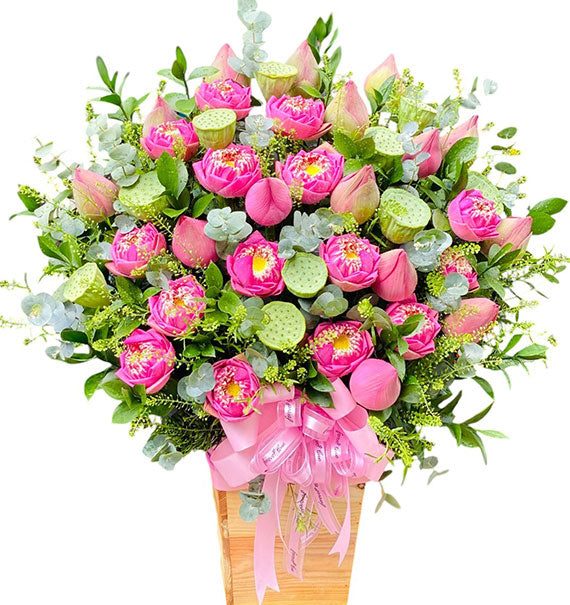 Pink Dreamlike Flowers Vietnam