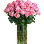 12 stems / Pink Christa