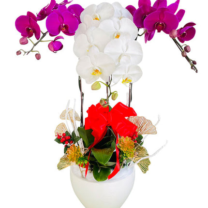 Potted Orchid For Women’s Day Vietnam