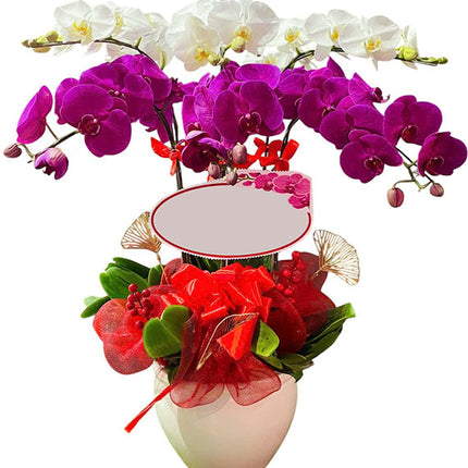 Potted White and Purple Orchid 06 Branches Vietnam