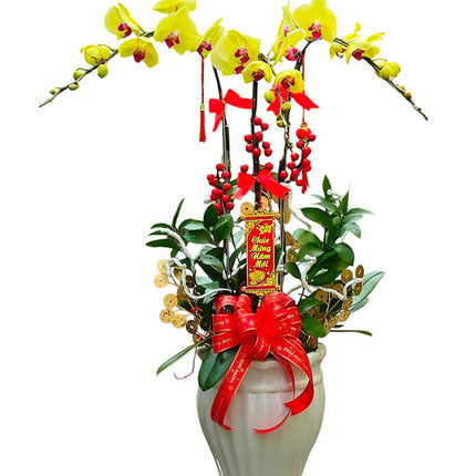 Potted Yellow Orchid 03 Branches Vietnam
