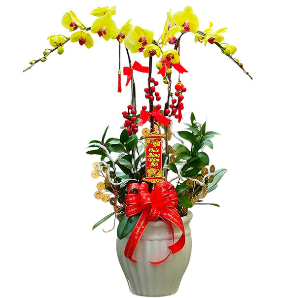Potted Yellow Orchid 03 Branches Vietnam