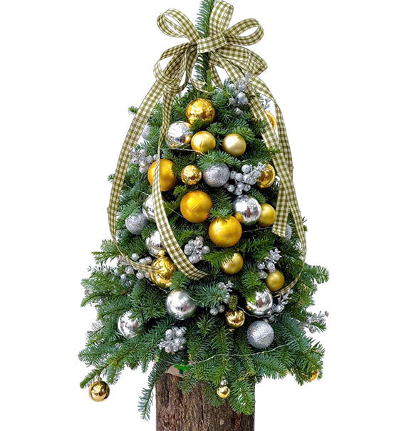 Premium Christmas Tree Vietnam