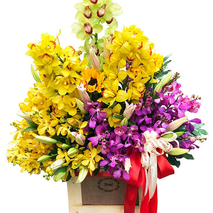 Premium Orchid Basket For Mother's Day Vietnam