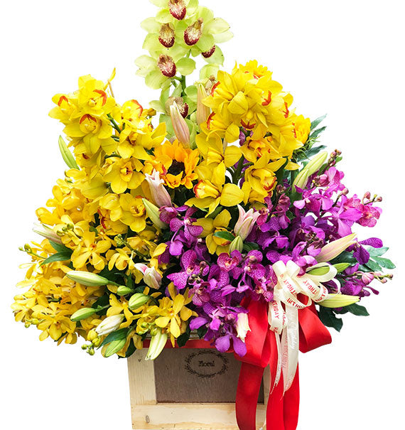 Premium Orchid Basket For Mother's Day Vietnam