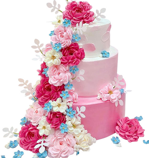 Premium Party Three Tier Cake Vietnam