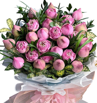 Purity Of Pink Lotus