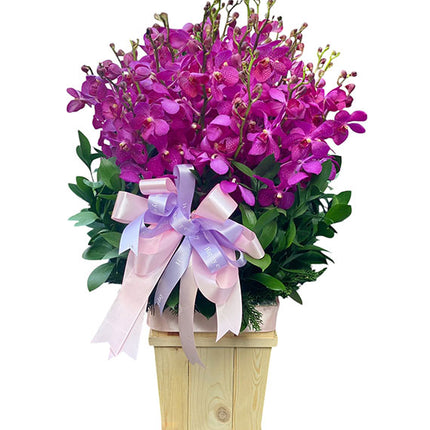 Purple Orchid Basket Vietnam