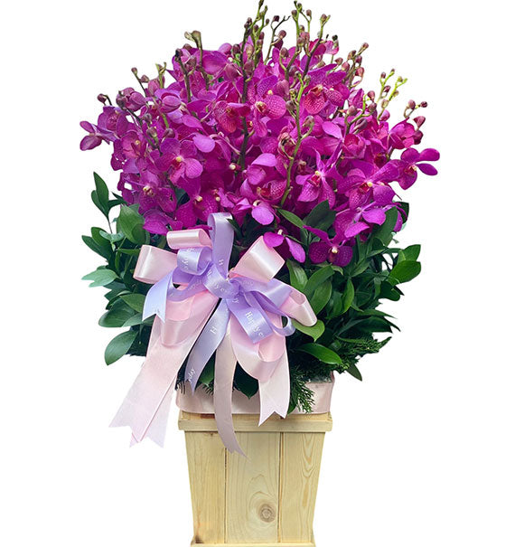 Purple Orchid Basket Vietnam