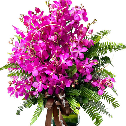 Purple Orchids In Vase Vietnam