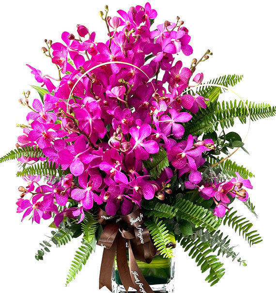 Purple Orchids In Vase Vietnam