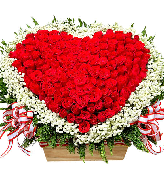 Queen of Valentine's Rose Vietnam